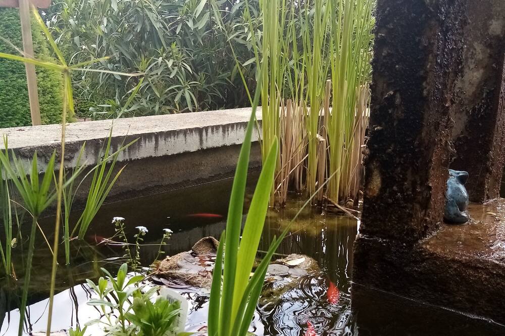 Photo of Outdoor in Allex