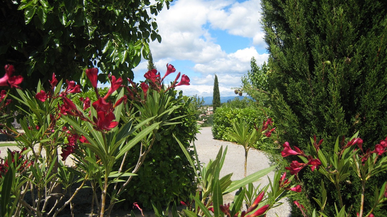 Photo of Outdoor in Villeneuve-de-Berg