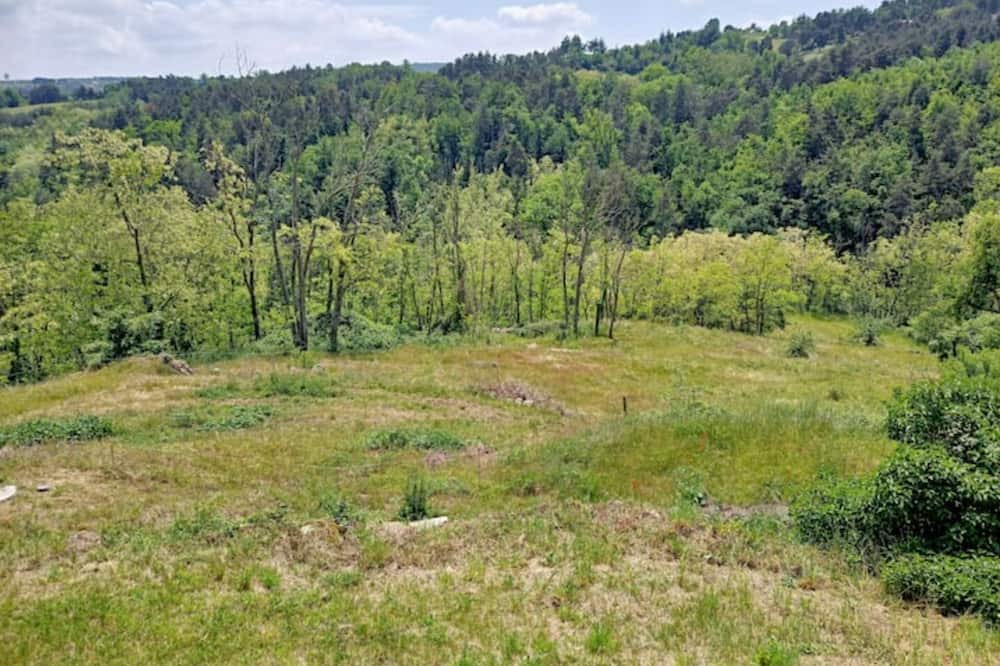 Photo of Outdoor in Ruisset
