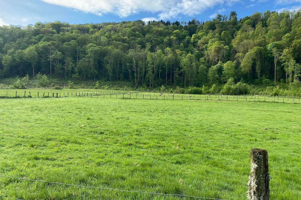 Photo of Outdoor in La Longine