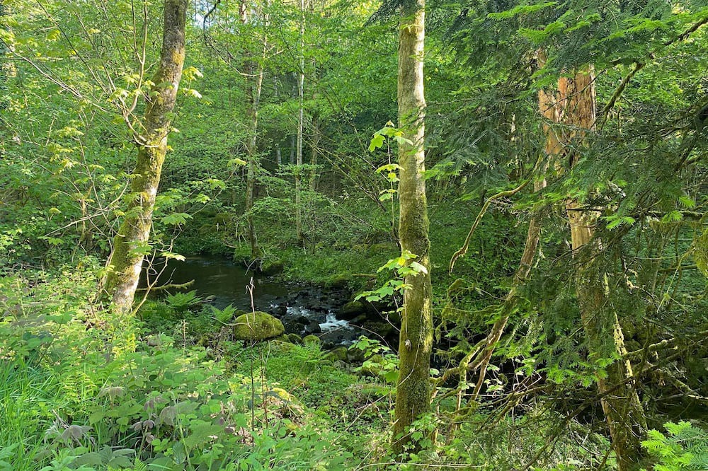 Photo of Outdoor in La Longine