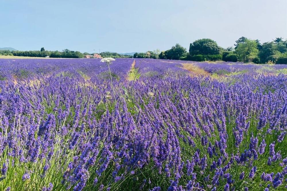 Photo of Outdoor in Montboucher-sur-Jabron