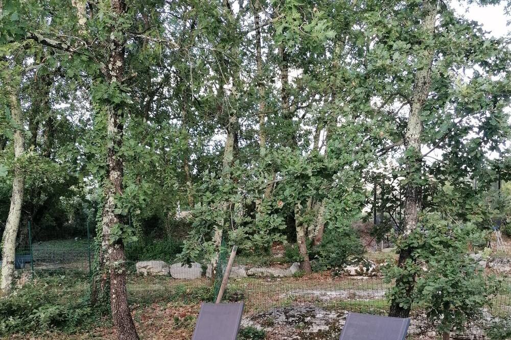 Photo of Outdoor in Lavilledieu