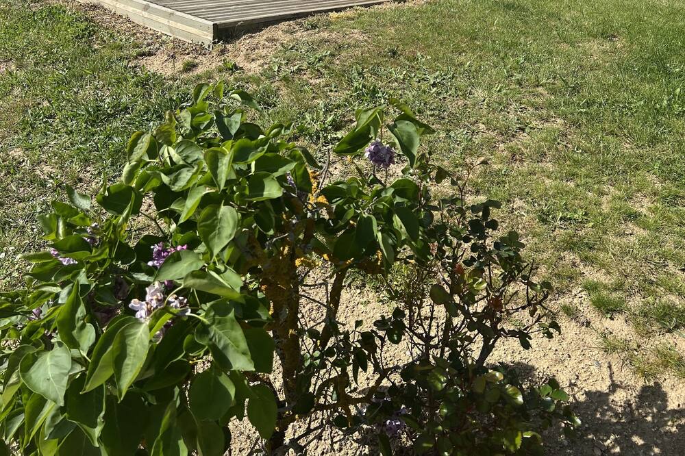 Photo of Outdoor in Saint-Felicien