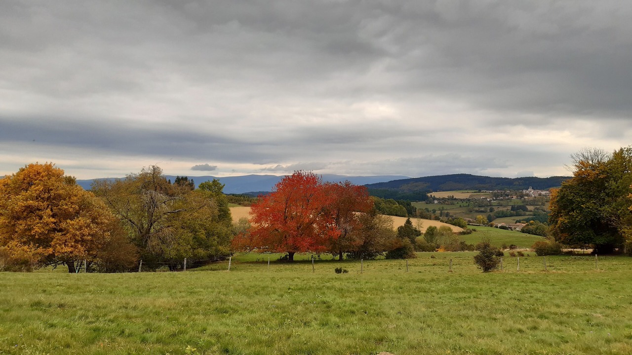Photo of Outdoor in Saint-Amant-Roche-Savine