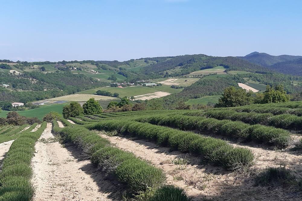 Photo of Outdoor in Aouste-sur-Sye