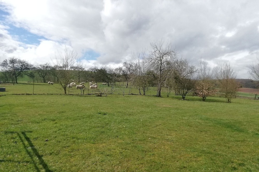 Photo of Outdoor in Remicourt
