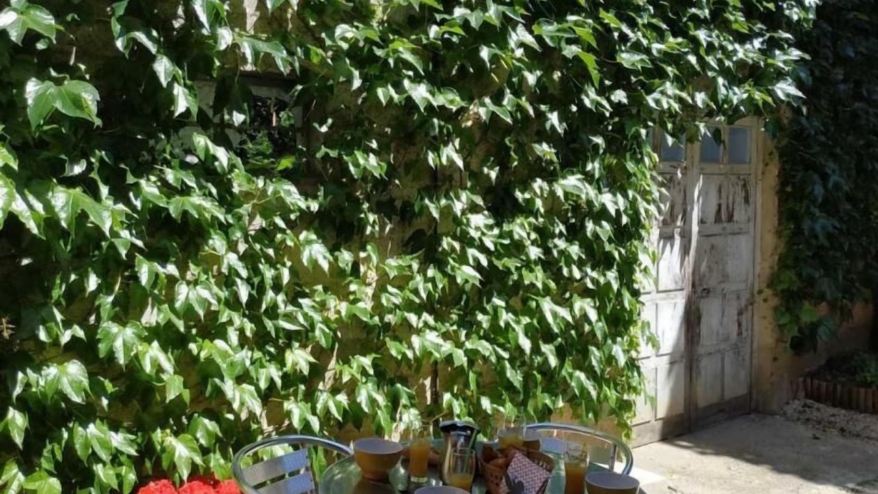 Photo of Outdoor in Louhans