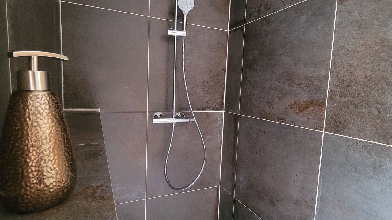 Photo of Bathroom in Orchamps