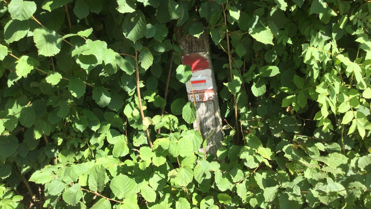 Photo of Outdoor in Planchez