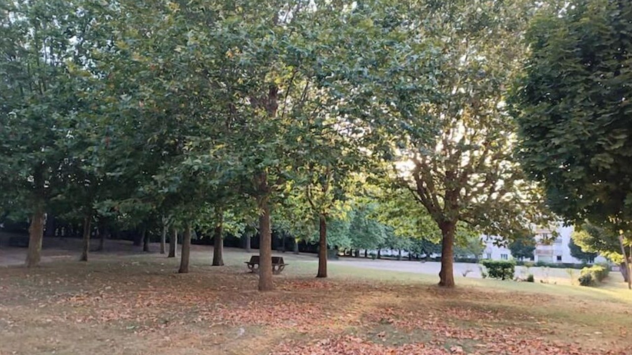 Photo of Outdoor in Roanne