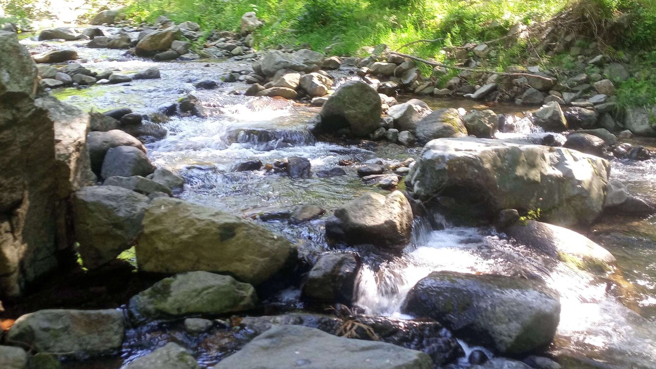 Photo of Outdoor in Boree
