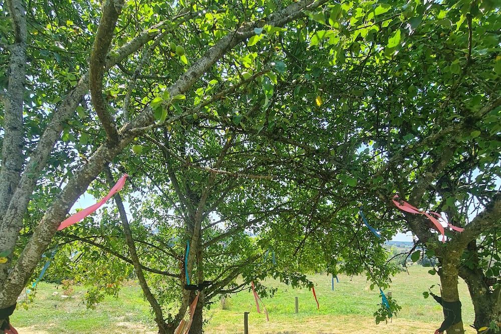 Photo of Outdoor in Preporche