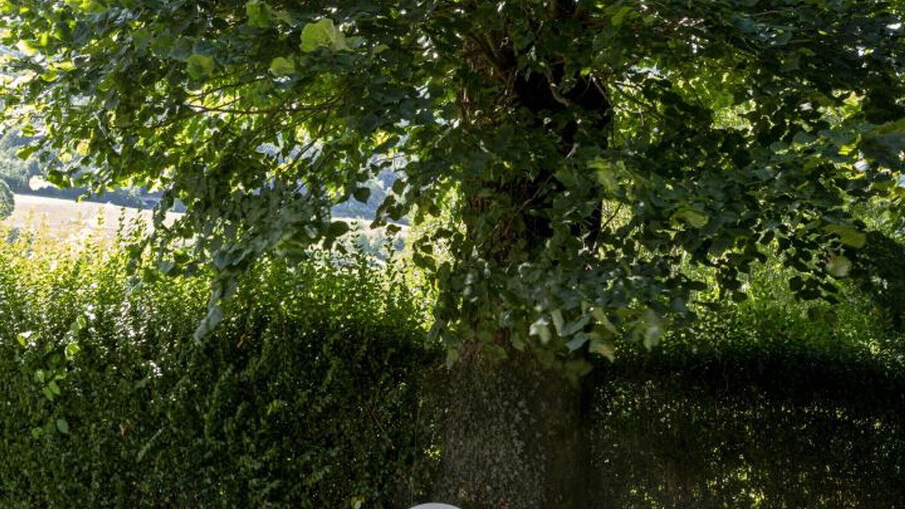 Photo of Outdoor in Thiezac