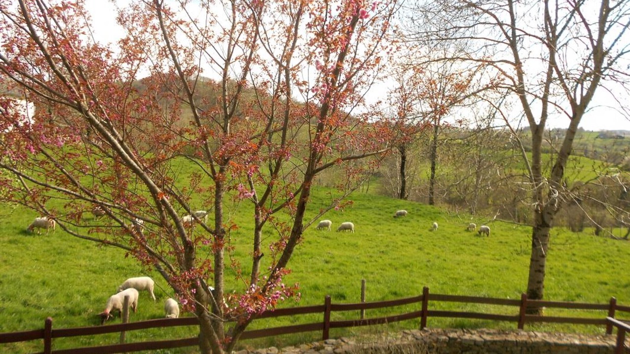 Photo of Outdoor in Riom-es-Montagnes