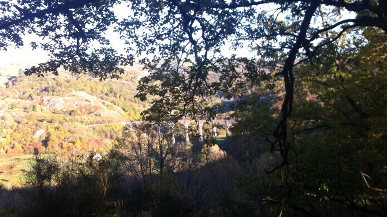 Photo of Outdoor in Riom-es-Montagnes