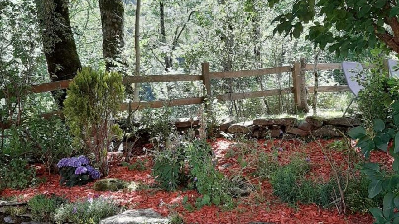 Photo of Outdoor in Paulhac