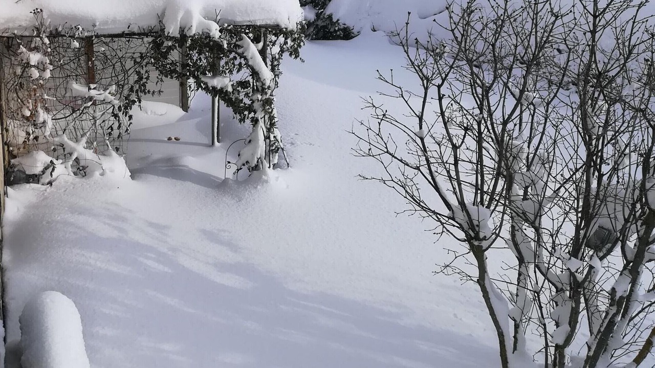 Photo of Outdoor in Valuejols