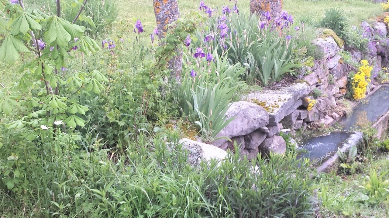 Photo of Outdoor in Valuejols
