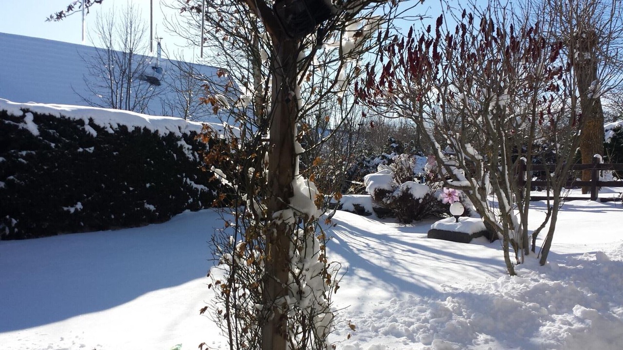 Photo of Outdoor in Valuejols