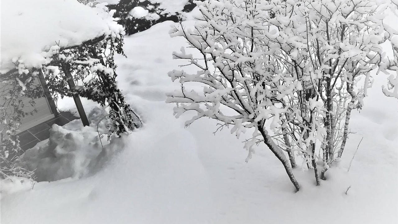 Photo of Outdoor in Valuejols