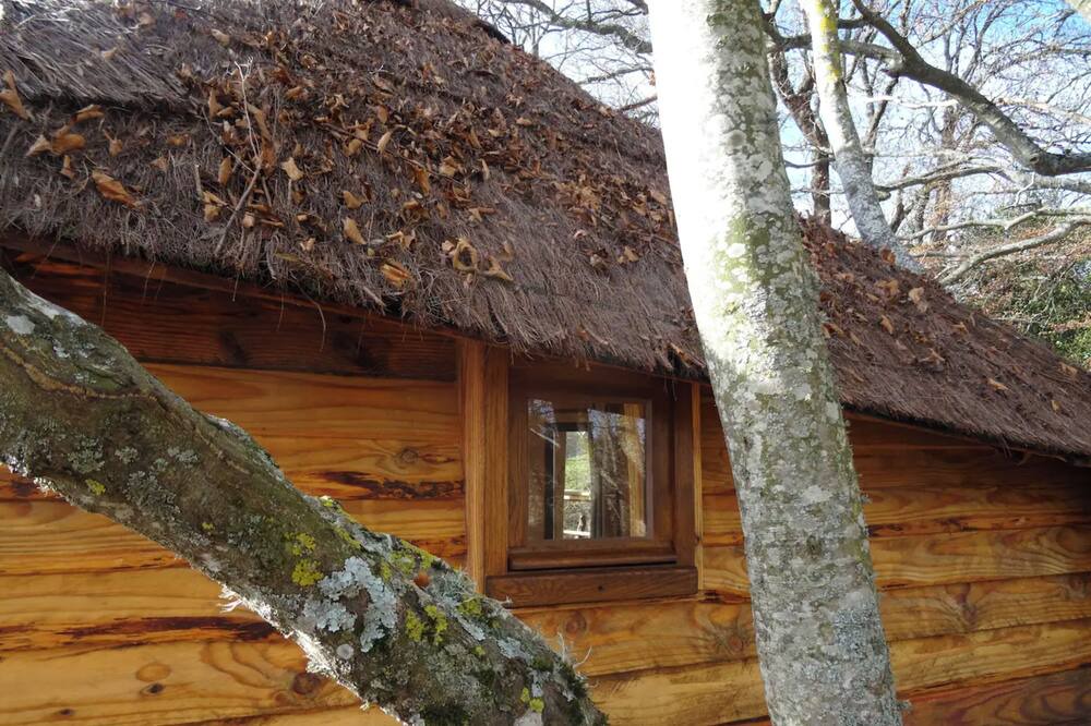 Photo of Outdoor in Saint-Agreve