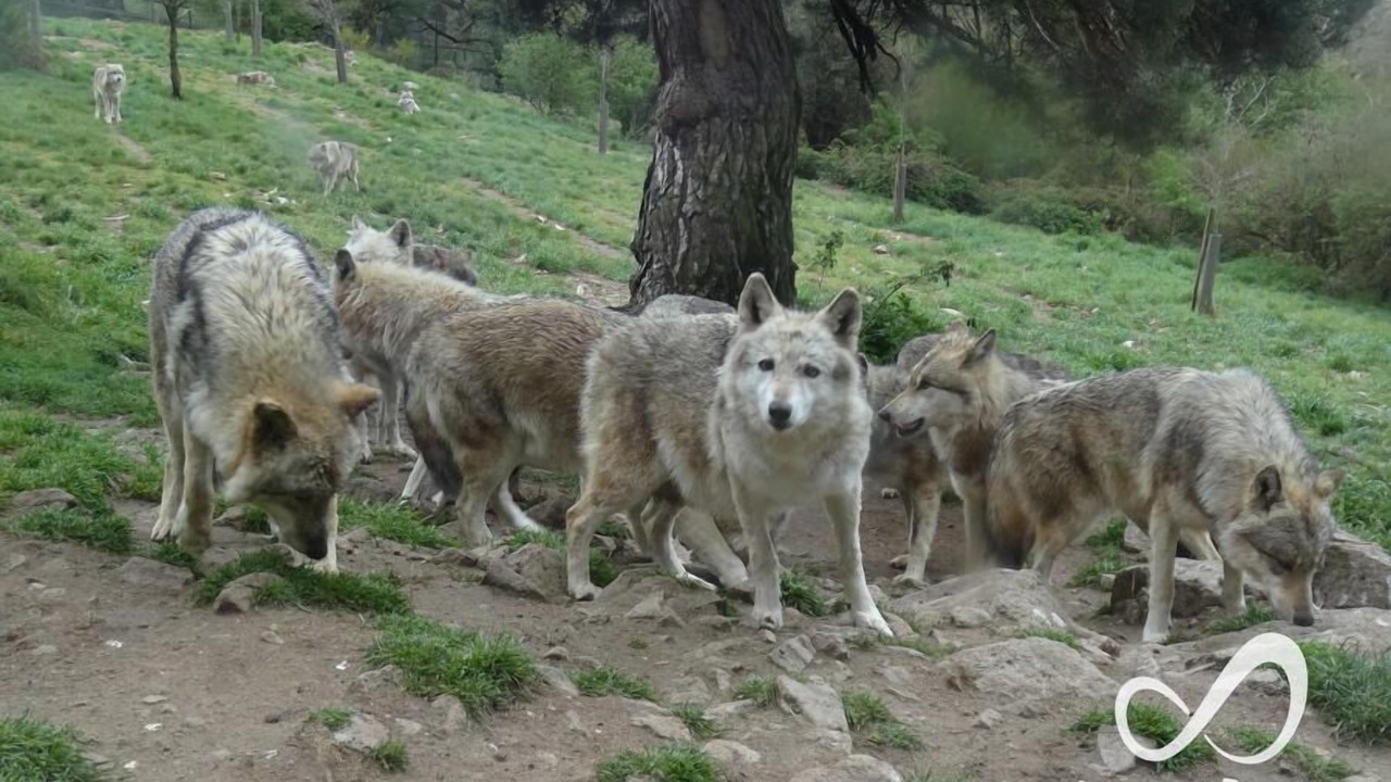 Photo of Others in Fournels