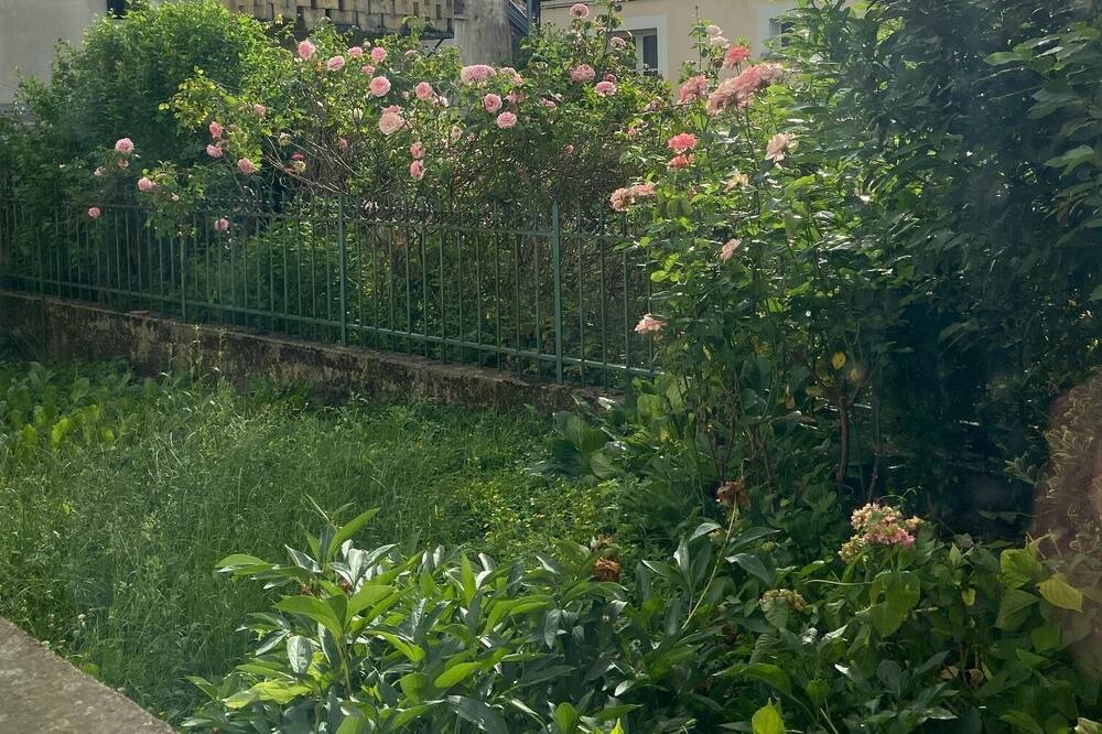 Photo of Outdoor in Arbois