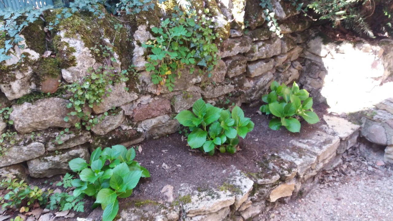 Photo of Outdoor in Saint-Maurice-les-Chateauneuf