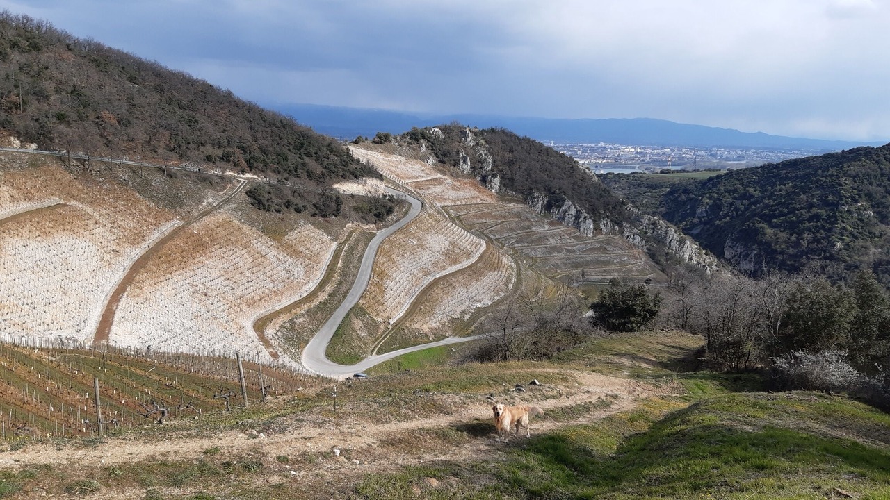 Photo of Outdoor in Cornas