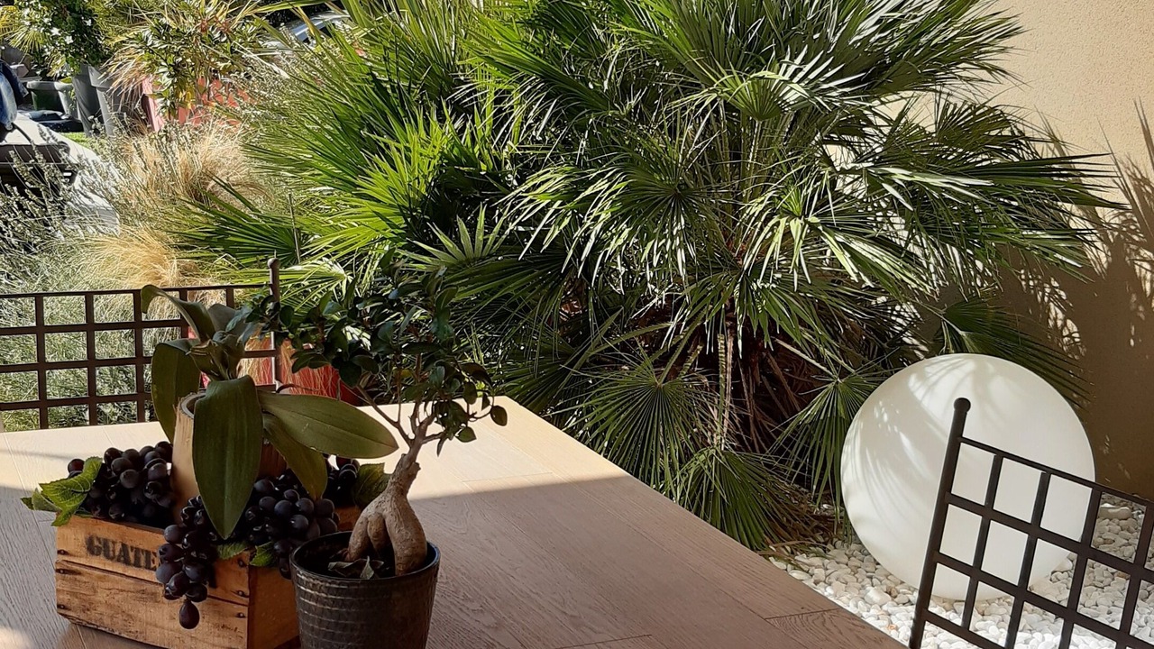 Photo of Patio Balcony in Cornas