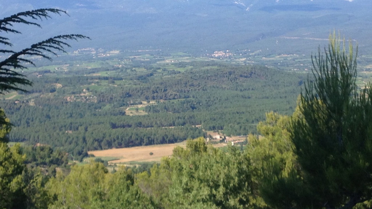 Photo of Others in Vaucluse