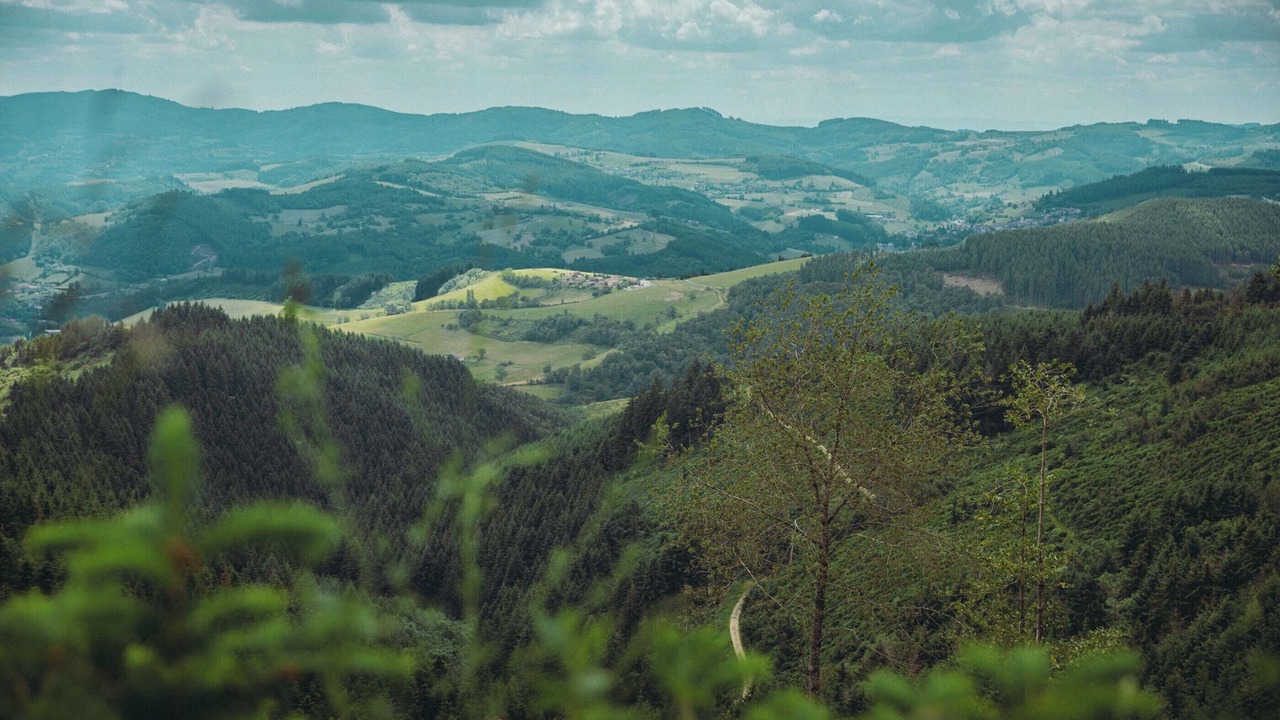 Photo of Outdoor in Vaux-en-Beaujolais