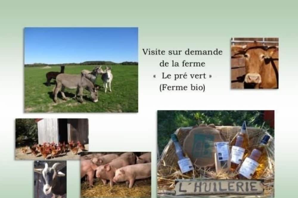 Photo of Others in Vrecourt