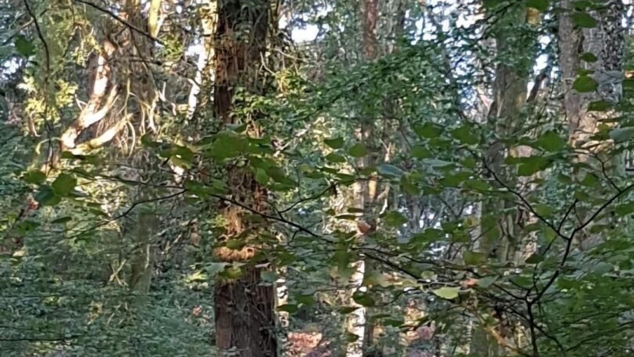 Photo of Outdoor in Neuvy-Grandchamp
