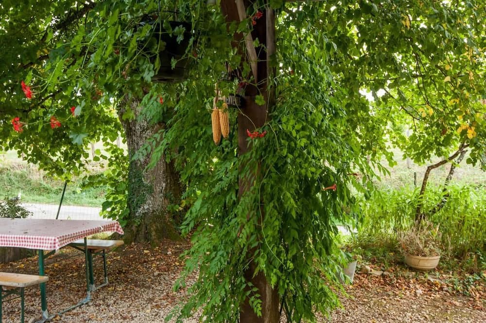 Photo of Outdoor in Flacey-en-Bresse