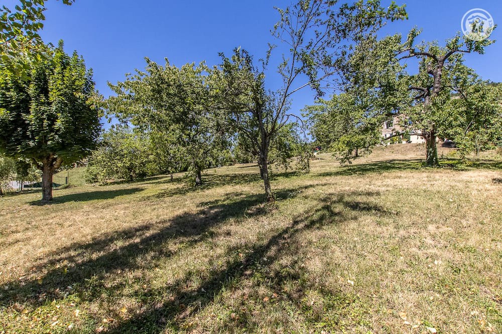 Photo of Outdoor in La Roche-Vineuse
