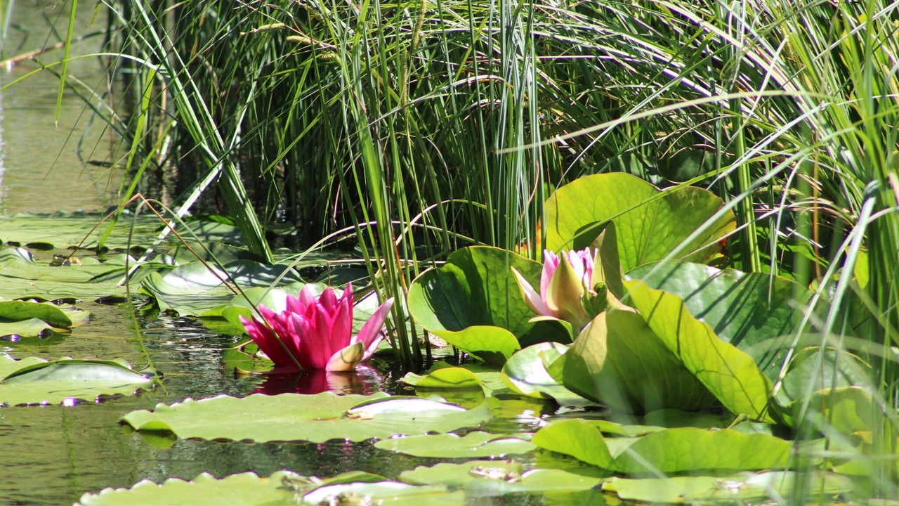 Photo of Outdoor in Dun-les-Places