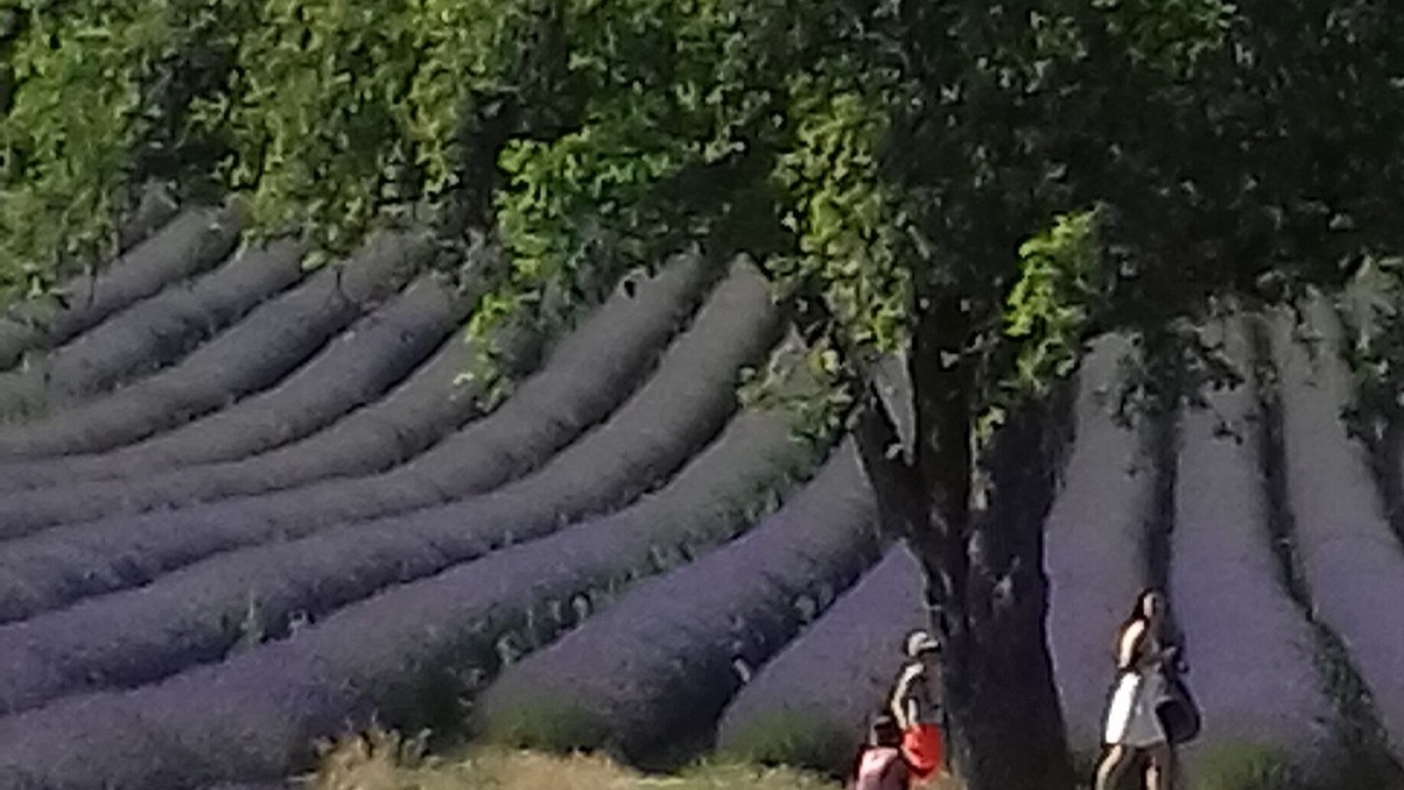 Photo of Outdoor in Saint-Auban-sur-L'Ouveze