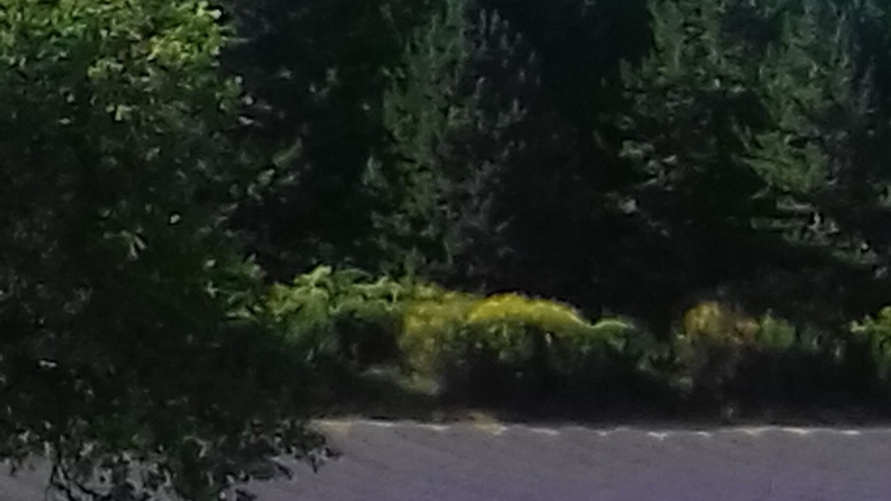Photo of Others in Saint-Auban-sur-L'Ouveze