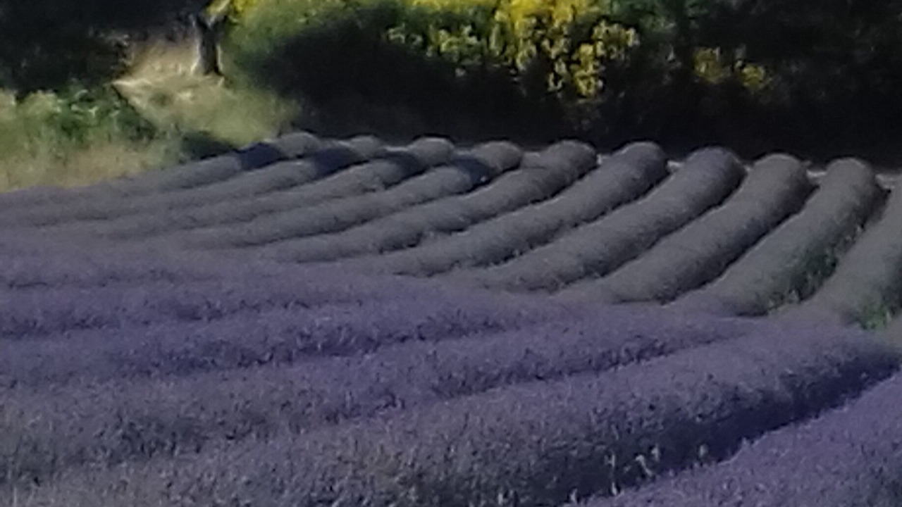 Photo of Outdoor in Saint-Auban-sur-L'Ouveze