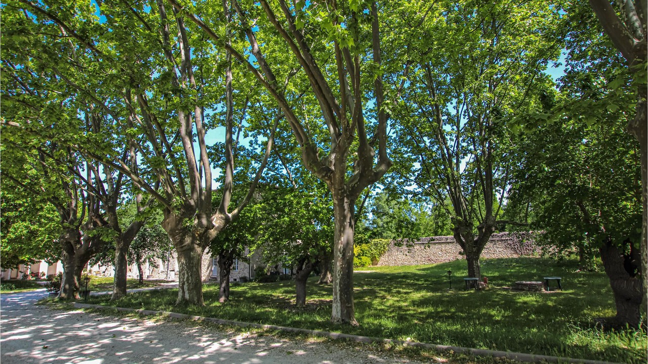 Photo of Outdoor in Montboucher-sur-Jabron