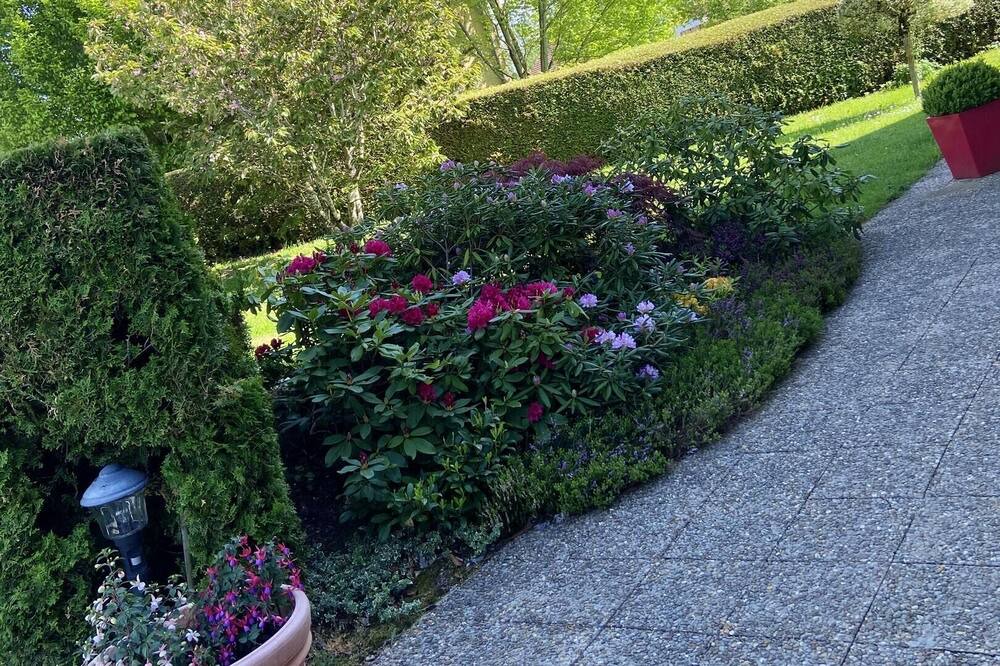 Photo of Outdoor in Plaimbois-du-Miroir