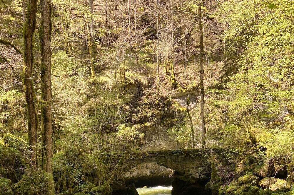 Photo of Others in Plaimbois-du-Miroir
