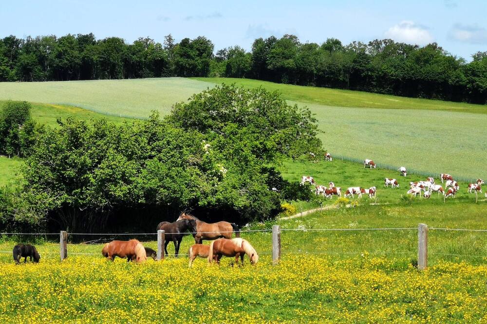 Photo of Outdoor in Le Fied