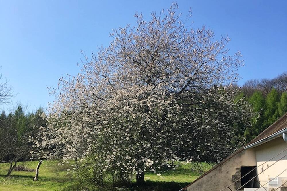 Photo of Outdoor in La Tagniere