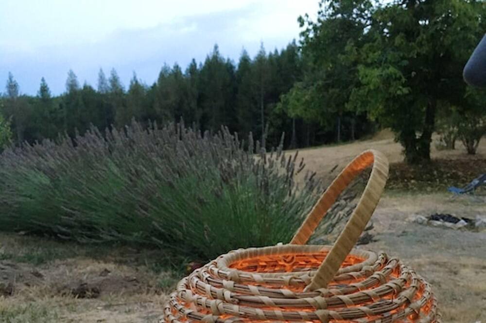Photo of Outdoor in La Tagniere