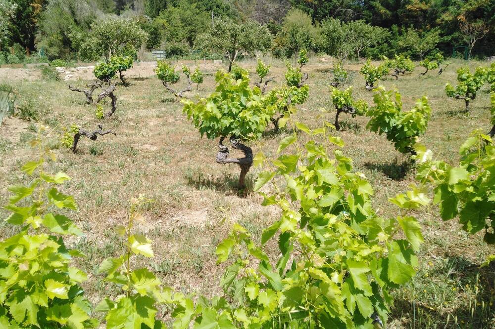 Photo of Outdoor in Buis-les-Baronnies