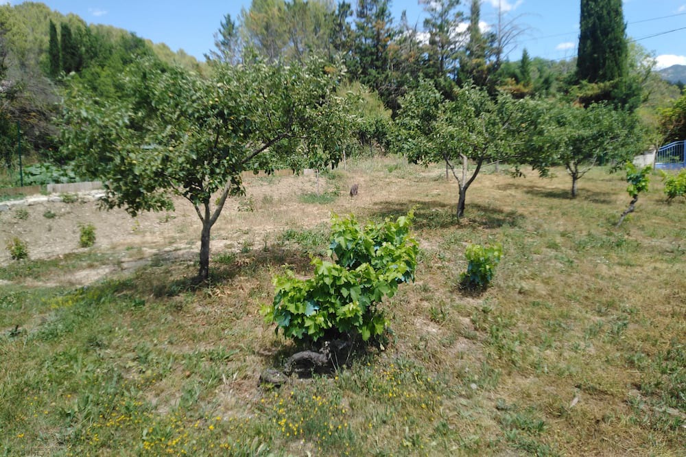 Photo of Outdoor in Buis-les-Baronnies