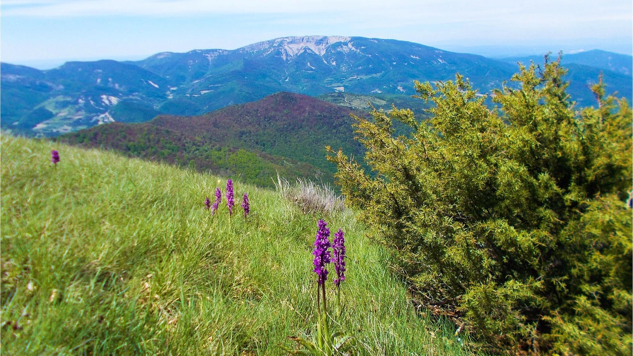 Photo of Outdoor in Meysse